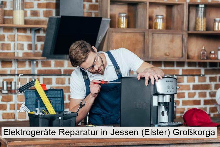Elektrogeräte Reparatur in Jessen (Elster) Großkorga